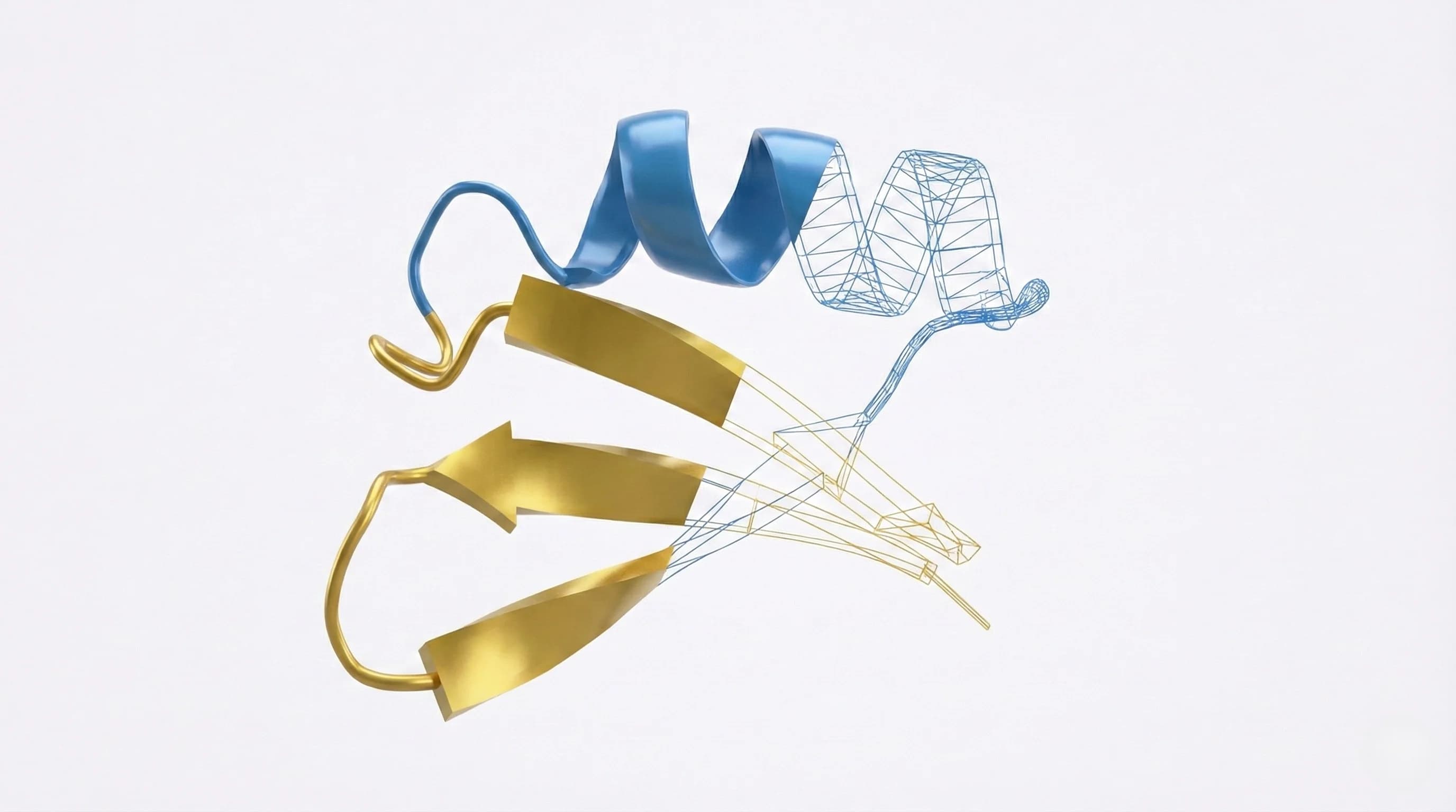 The validated EGFR-binding miniprotein, half solid render and half wireframe
